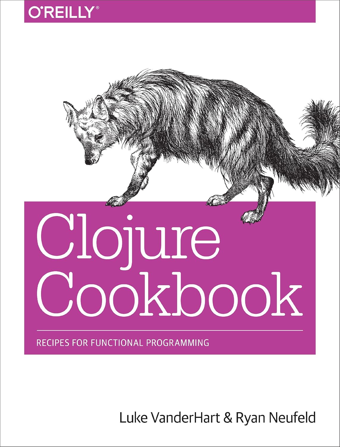 Clojure Cookbook: Recipes for Functional Programming (English Edition)