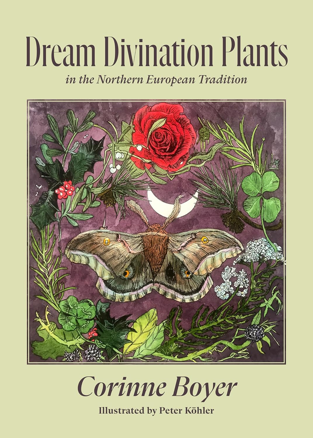 ler totalmente Dream Divination Plants: In Northwestern European Traditions