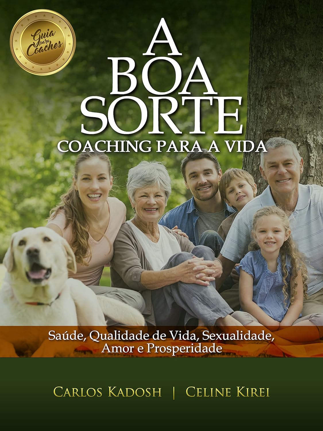 A Boa Sorte: Coaching para a vida baixar livro de graça
