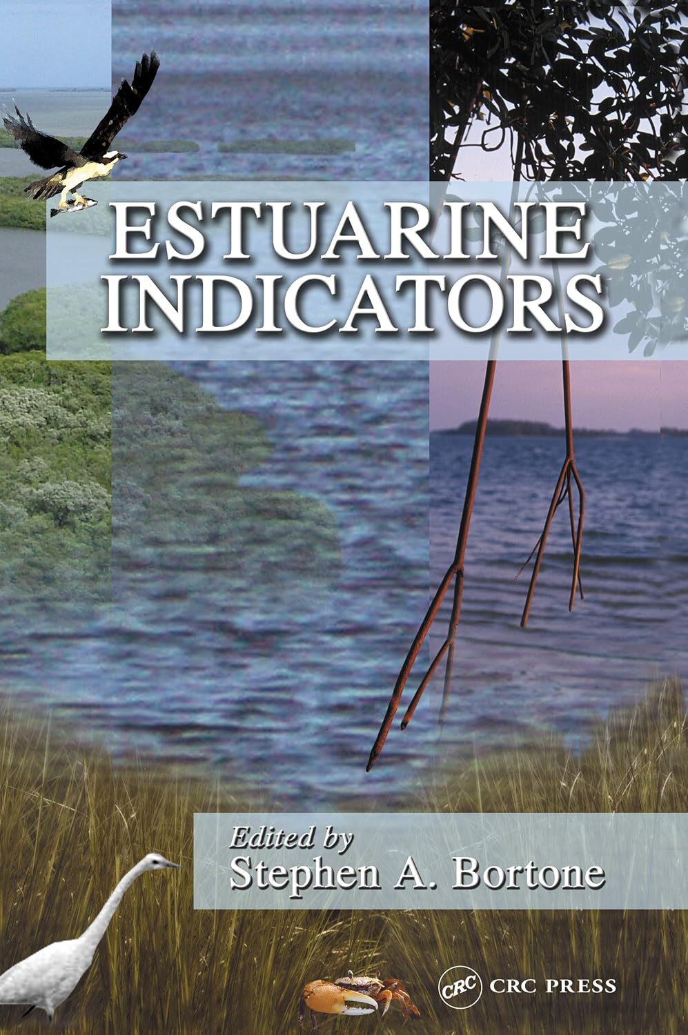 Estuarine Indicators (English Edition) baixar o livro de graça