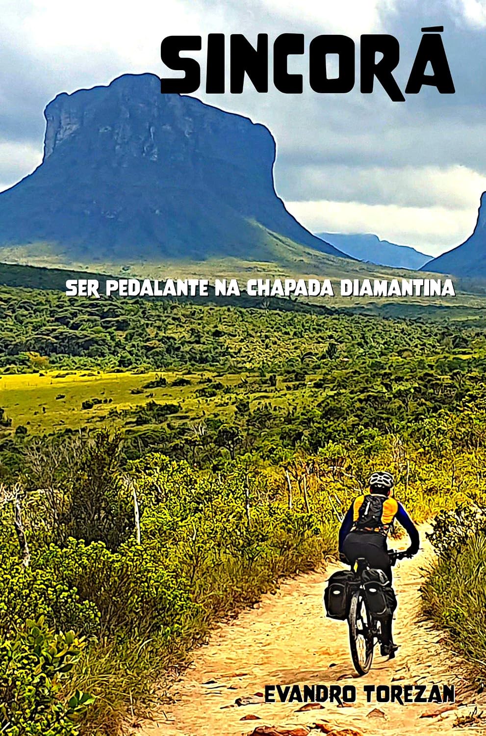 Sincorá: Ser Pedalante na Chapada Diamantina baixar livro de graça