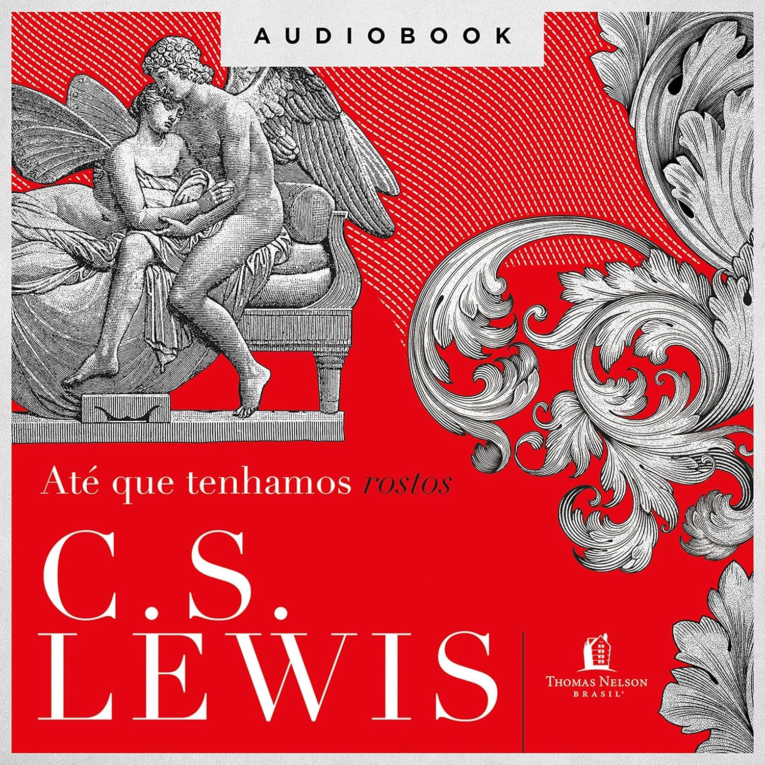 capítulo por capítulo baixar Até que tenhamos rostos: a releitura de um mito