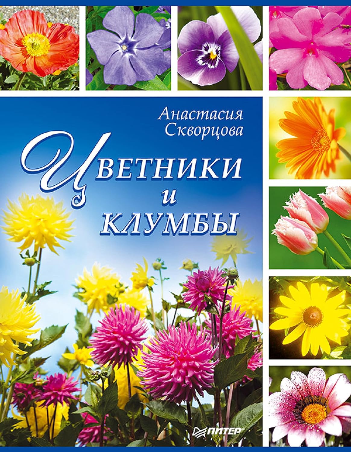 Цветники и клумбы (Russian Edition) baixar livro de graça