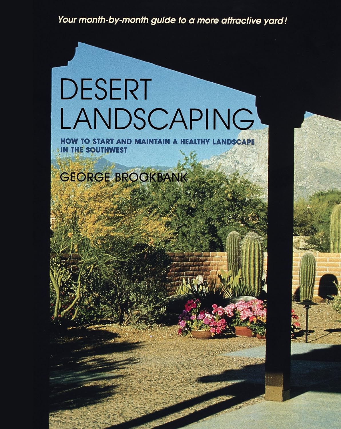 Desert Landscaping: How to Start and Maintain a Healthy Landscape in the Southwest (English Edition) baixar livro de graça