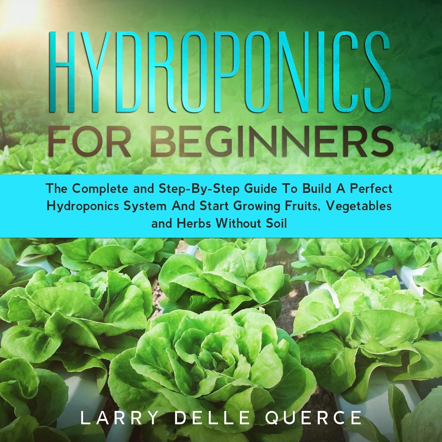 Hydroponics for Beginners: The Complete and Step-by-Step Guide to Build a Perfect Hydroponics System and Start Growing Fruits, Vegetables, and Herbs Without Soil baixar o livro de graça