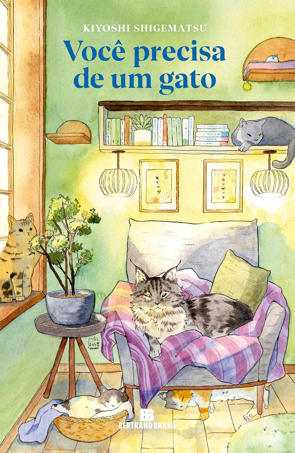Você precisa de um gato baixar livro de graça