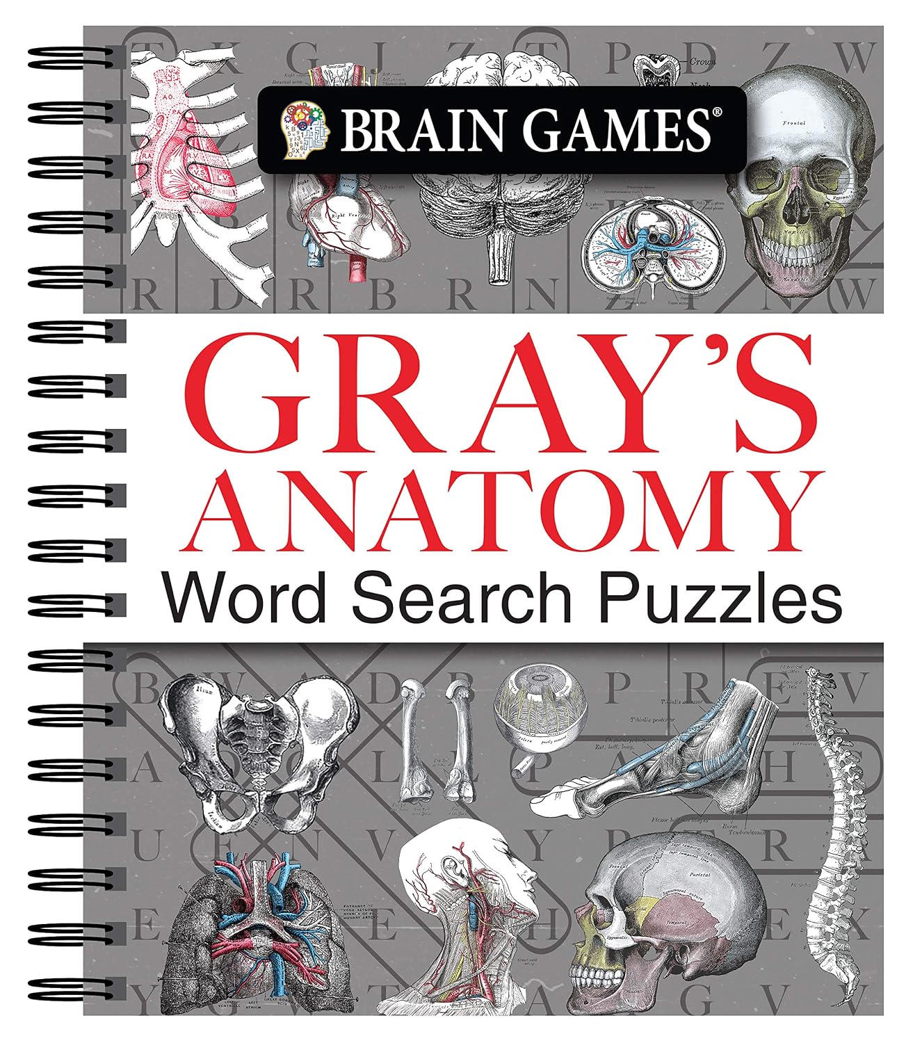 Brain Games - Gray's Anatomy Word Search Puzzles baixar livro de graça
