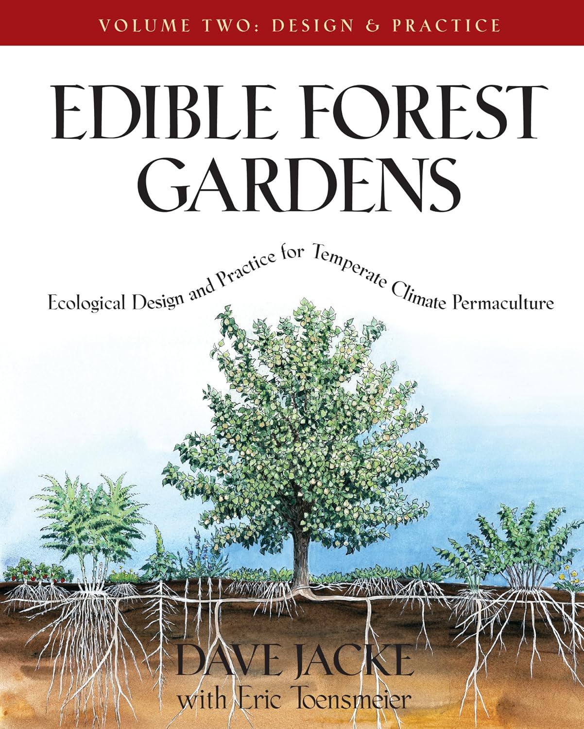 ler totalmente Edible Forest Gardens, Volume II: Ecological Design and Practice for Temperate-Climate Permaculture: 02