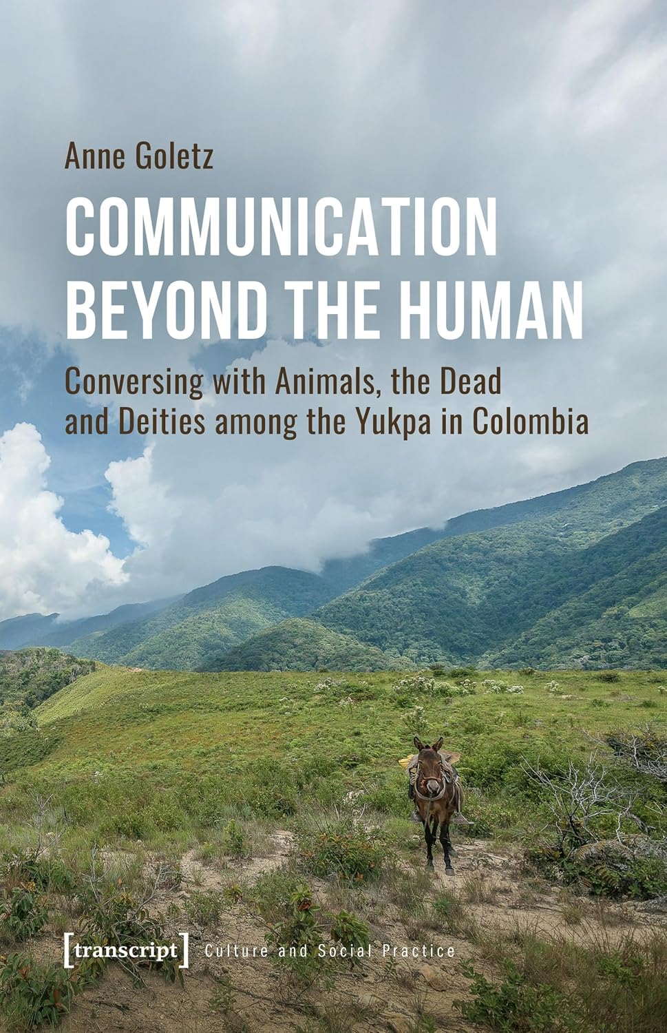 capítulo por capítulo baixar Communication Beyond the Human: Conversing with Animals, the Dead and Deities among the Yukpa in Colombia (Kultur und soziale Praxis) (English Edition)