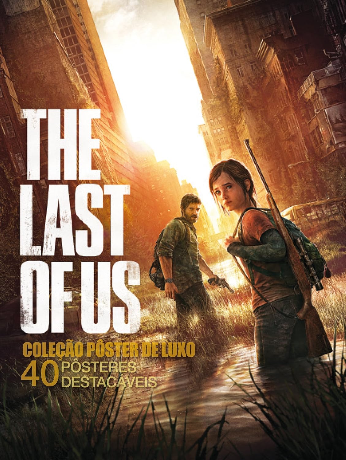 Coleção Pôster de Luxo - The Last Of Us