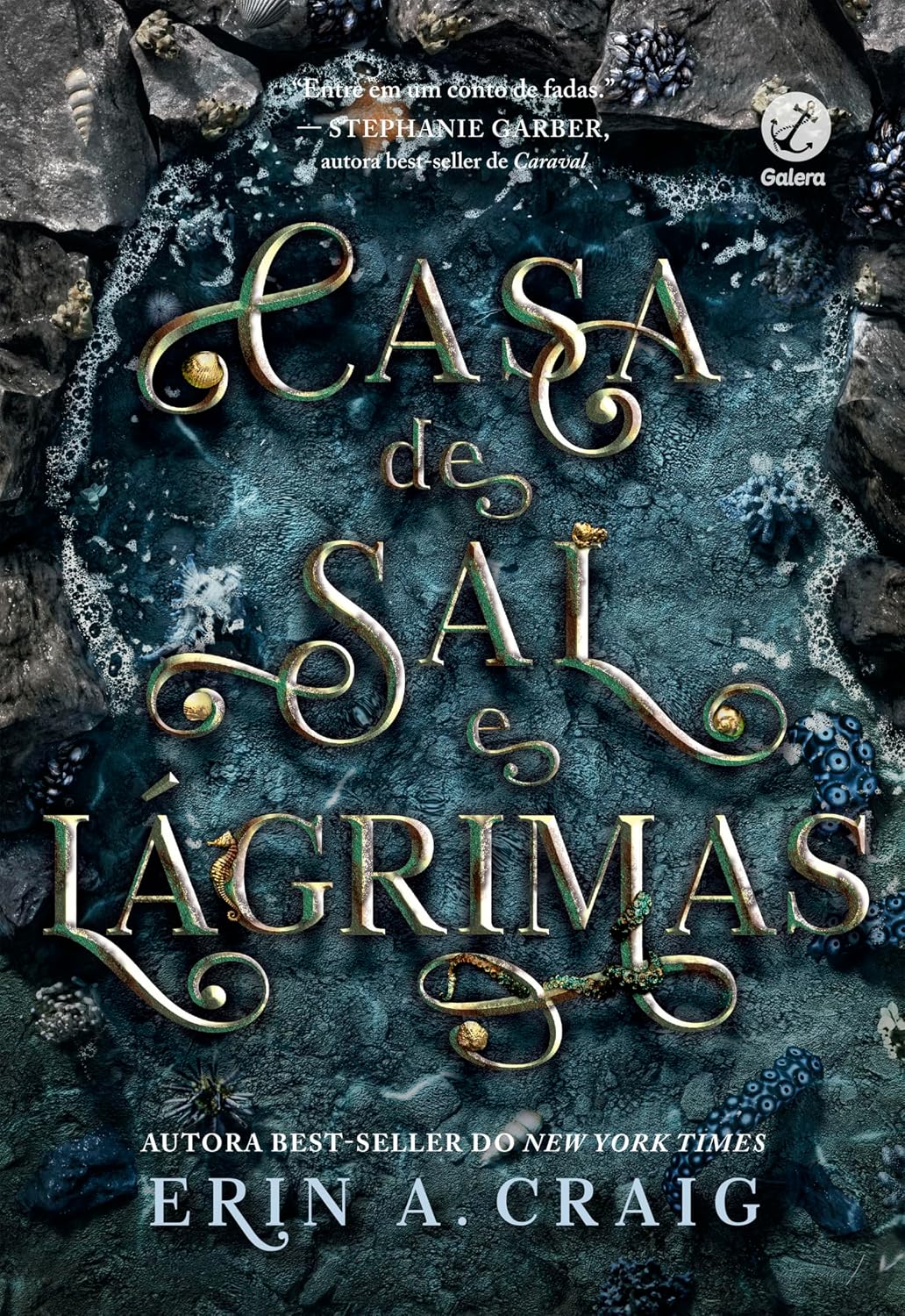 ler totalmente Casa de sal e lágrimas (Vol. 1 Irmãs do Sal)