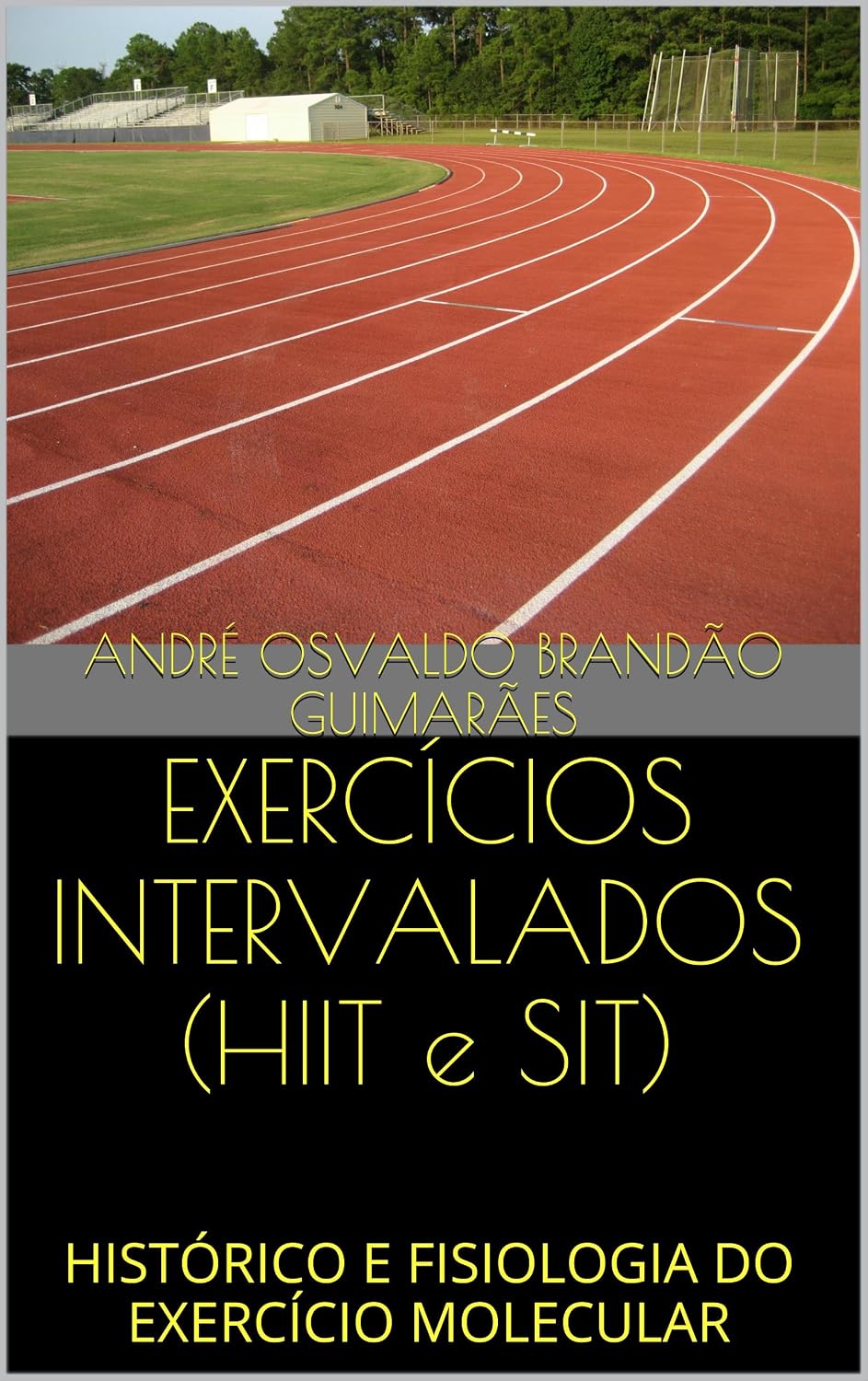 capítulo por capítulo baixar EXERCÍCIOS INTERVALADOS (HIIT e SIT): HISTÓRICO E FISIOLOGIA DO EXERCÍCIO MOLECULAR