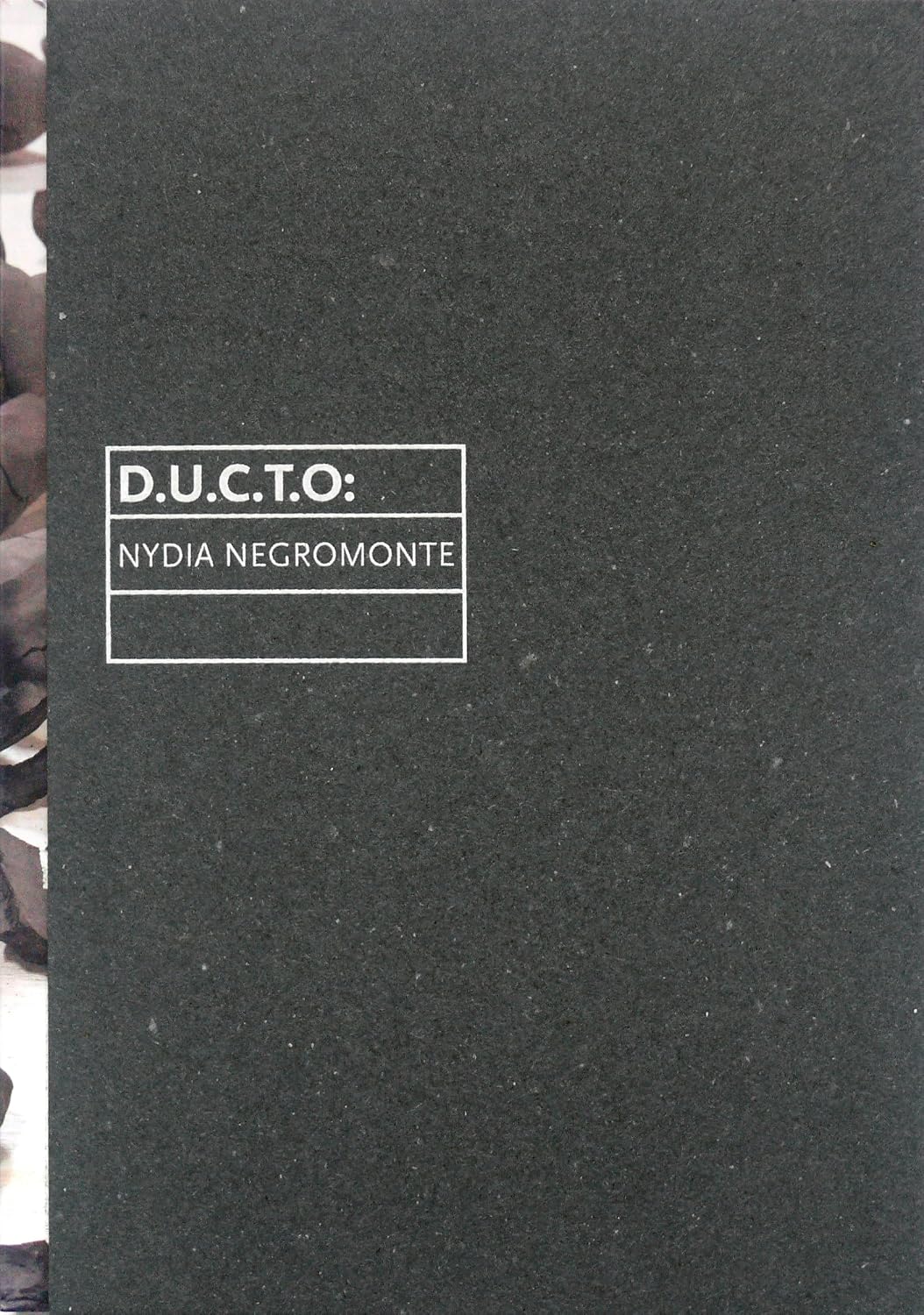 DUCTO baixar livro de graça