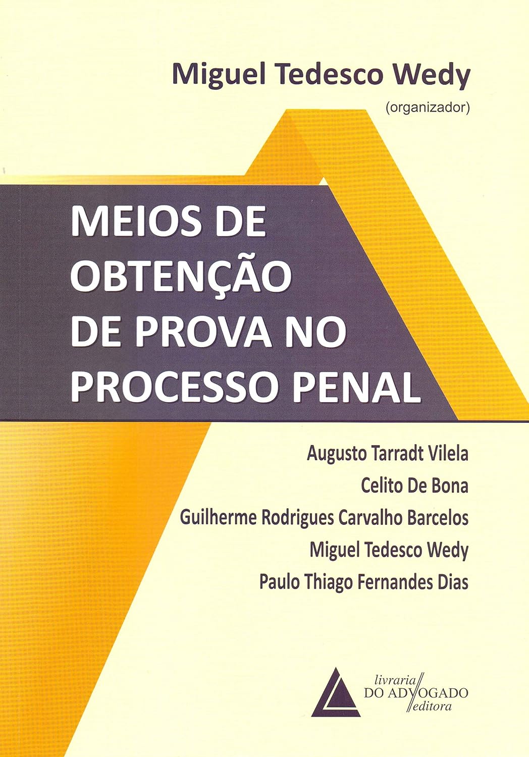 Meios de Obtenção de Prova no Processo Penal baixar livro de graça
