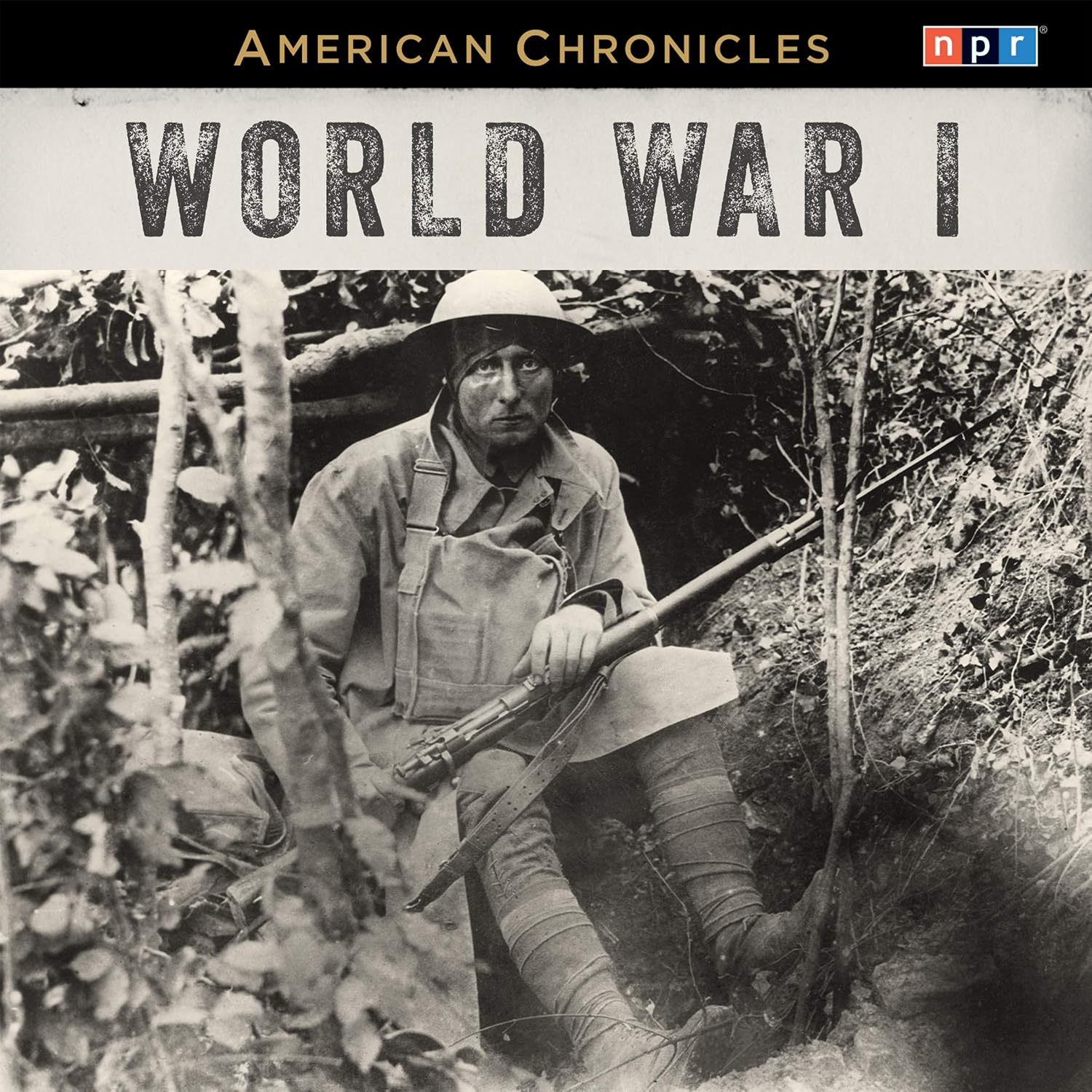 ler totalmente NPR American Chronicles: World War I