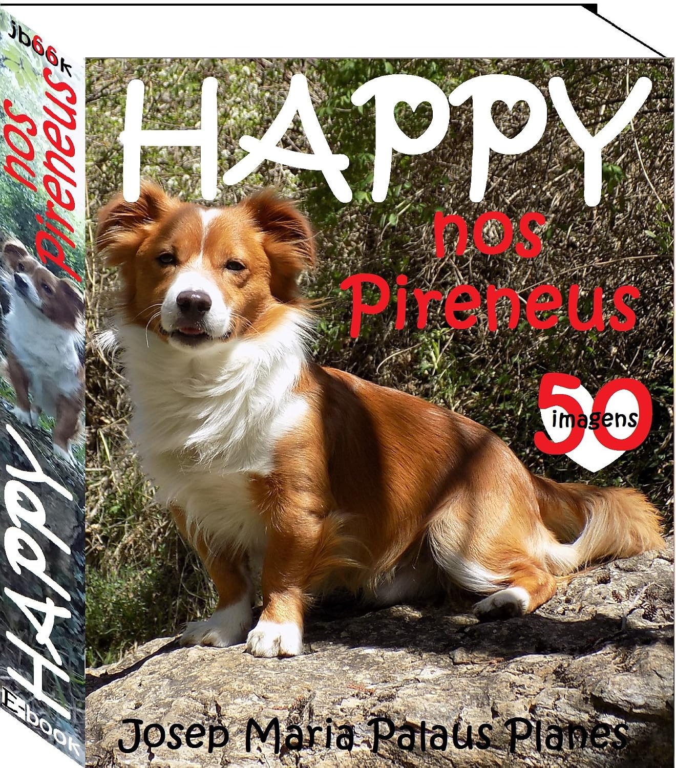 ler totalmente HAPPY nos Pireneus