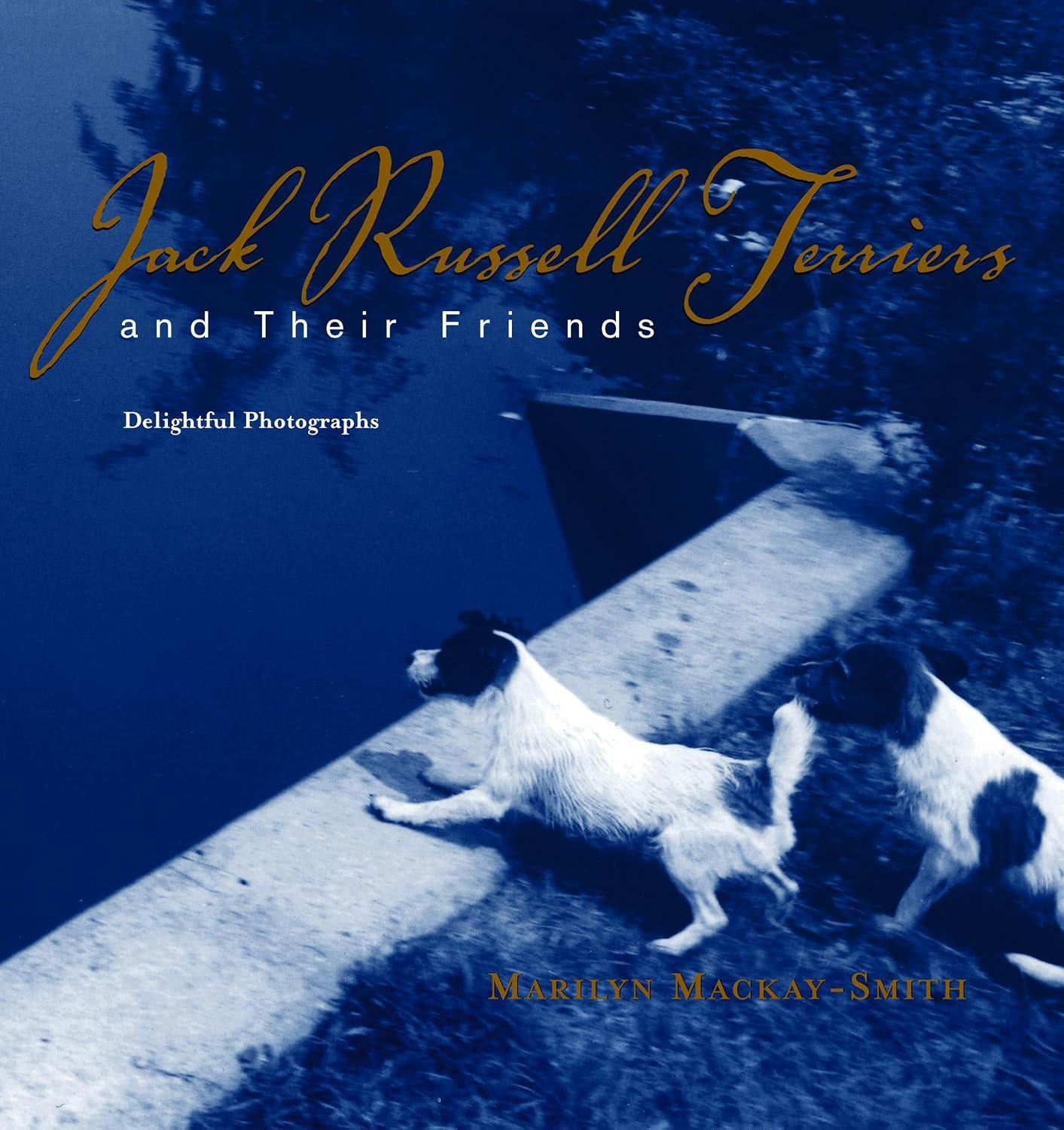 Jack Russell Terriers and Their Friends: Delightful Photographs baixar livro de graça