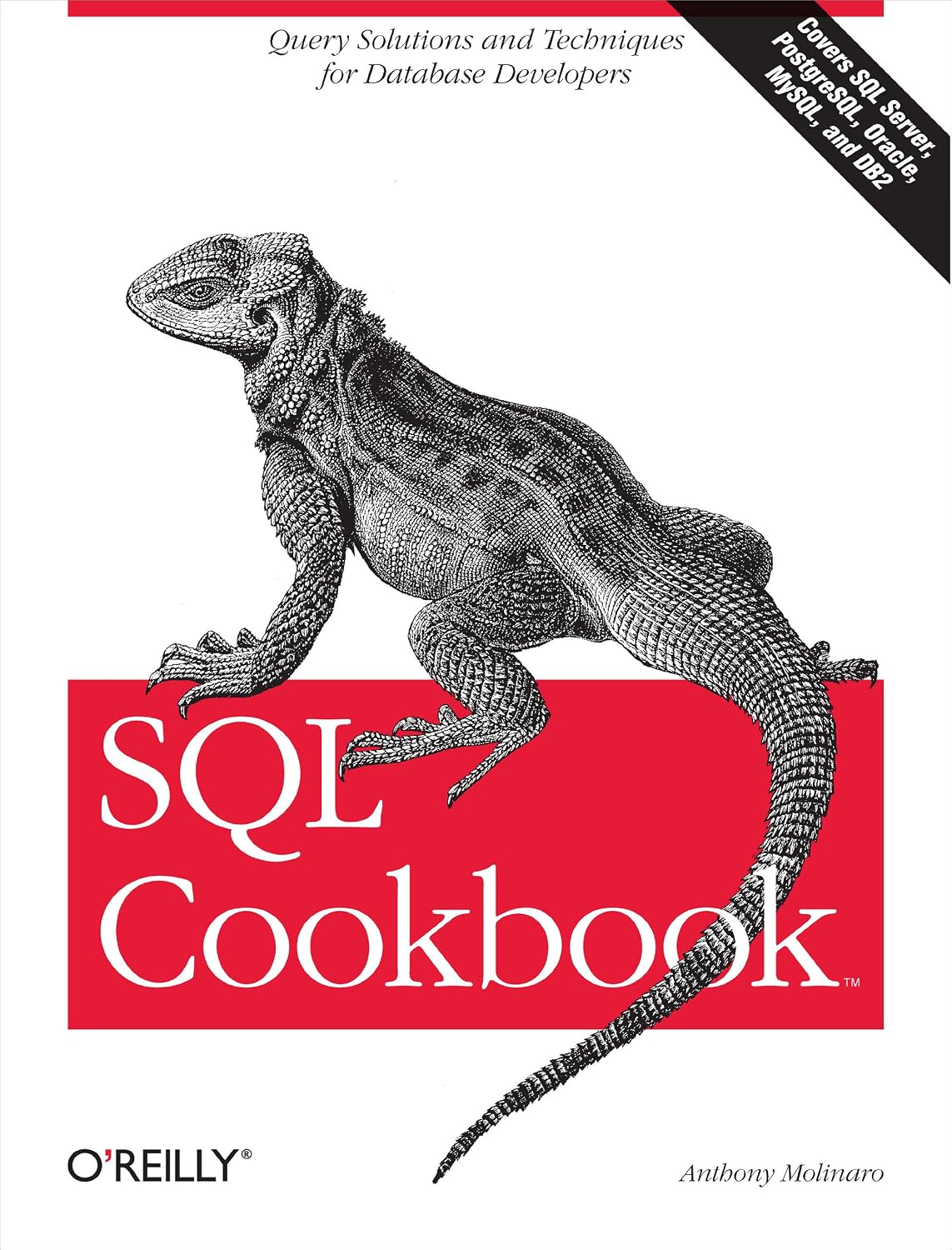 capítulo por capítulo baixar SQL Cookbook: Query Solutions and Techniques for Database Developers