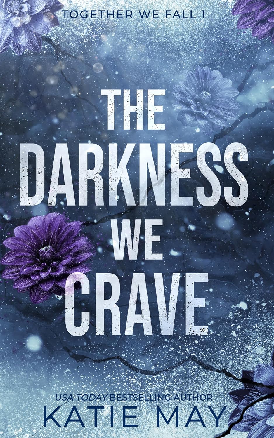 ler totalmente The Darkness We Crave (Together We Fall Book 1) (English Edition)