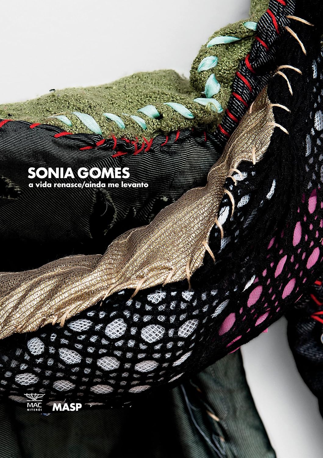 Sonia Gomes: a vida renasce/ainda me levanto baixar livro de graça