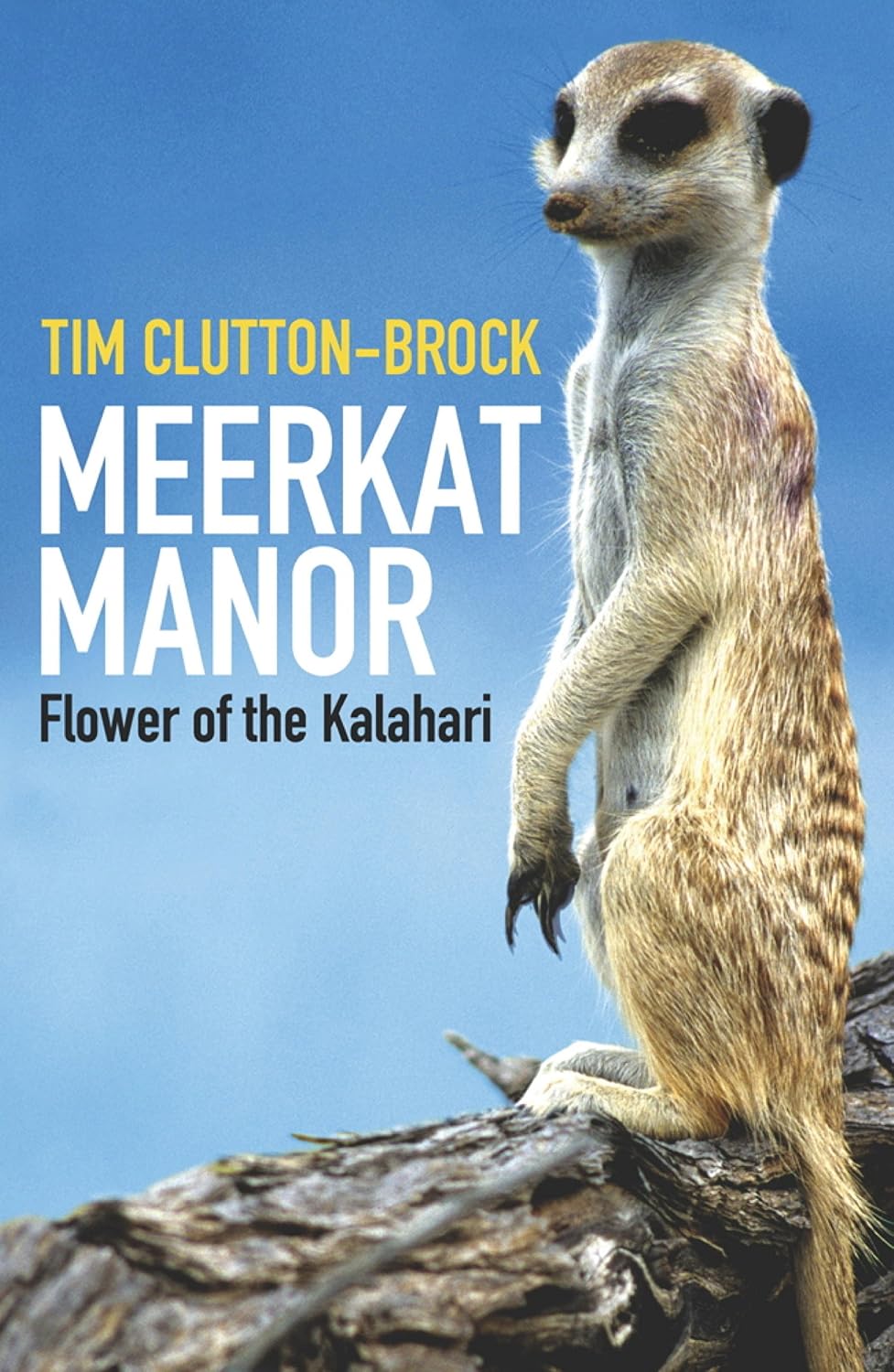 ler totalmente Meerkat Manor: Flower Of The Kalahari (English Edition)