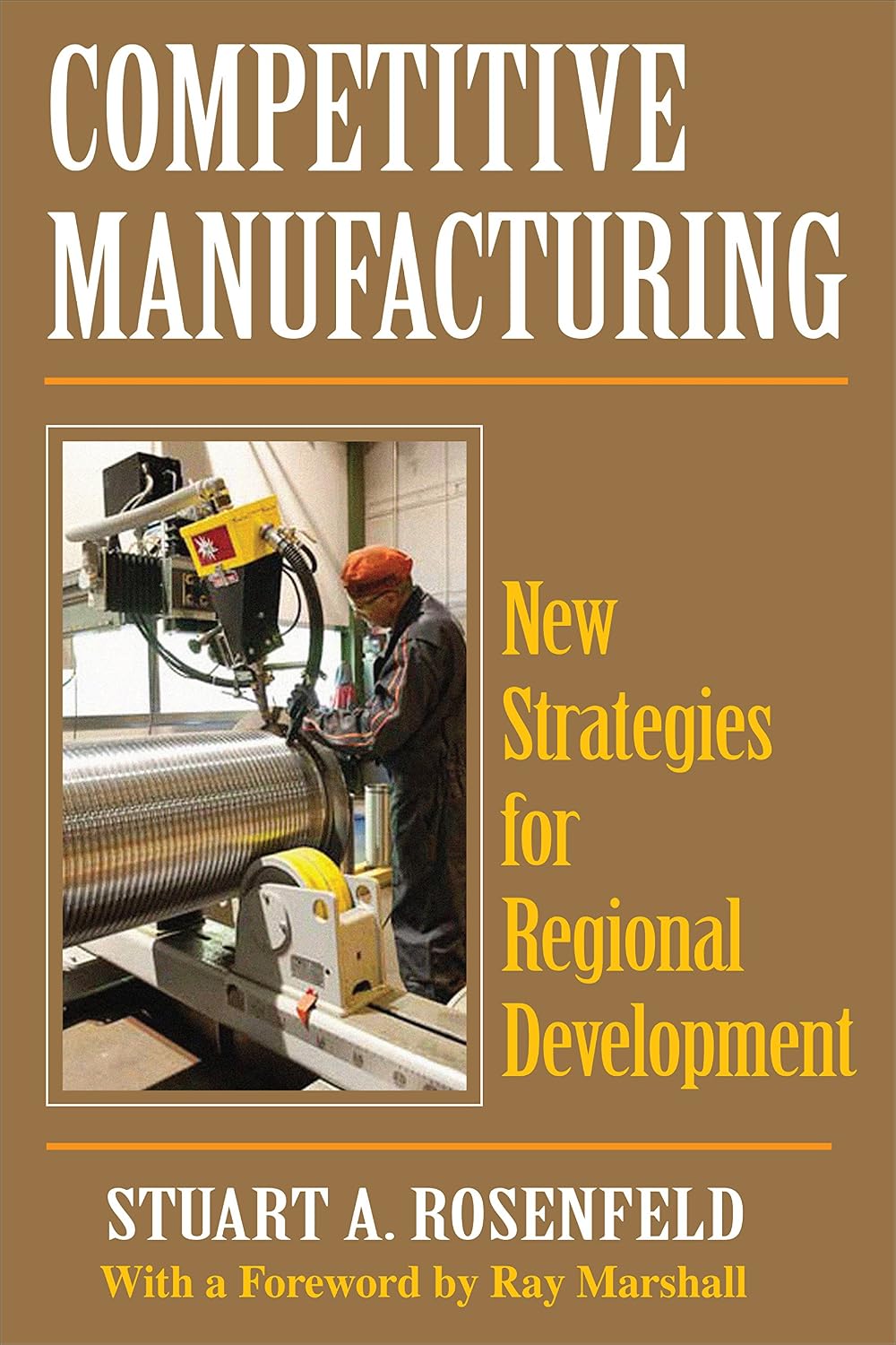 Competitive Manufacturing: New Strategies for Regional Development (English Edition) baixar livro de graça