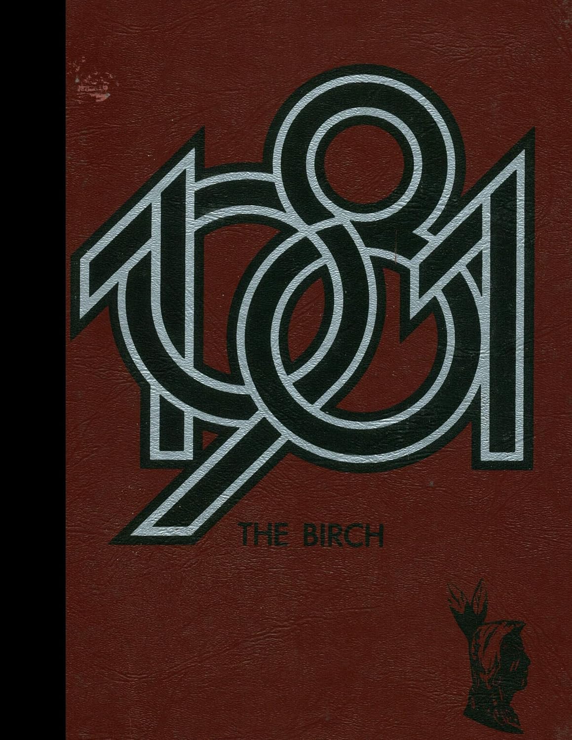 (Reprint) 1981 Yearbook: Birchwood High School, Birchwood, Tennessee baixar o livro de graça