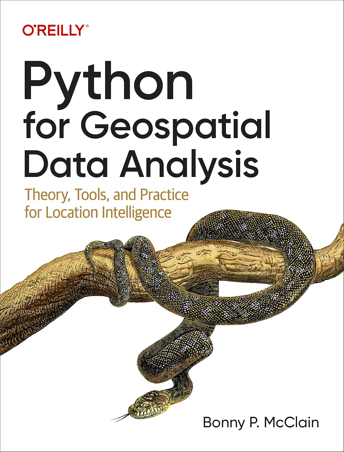 ler totalmente Python for Geospatial Data Analysis: Theory, Tools, and Practice for Location Intelligence