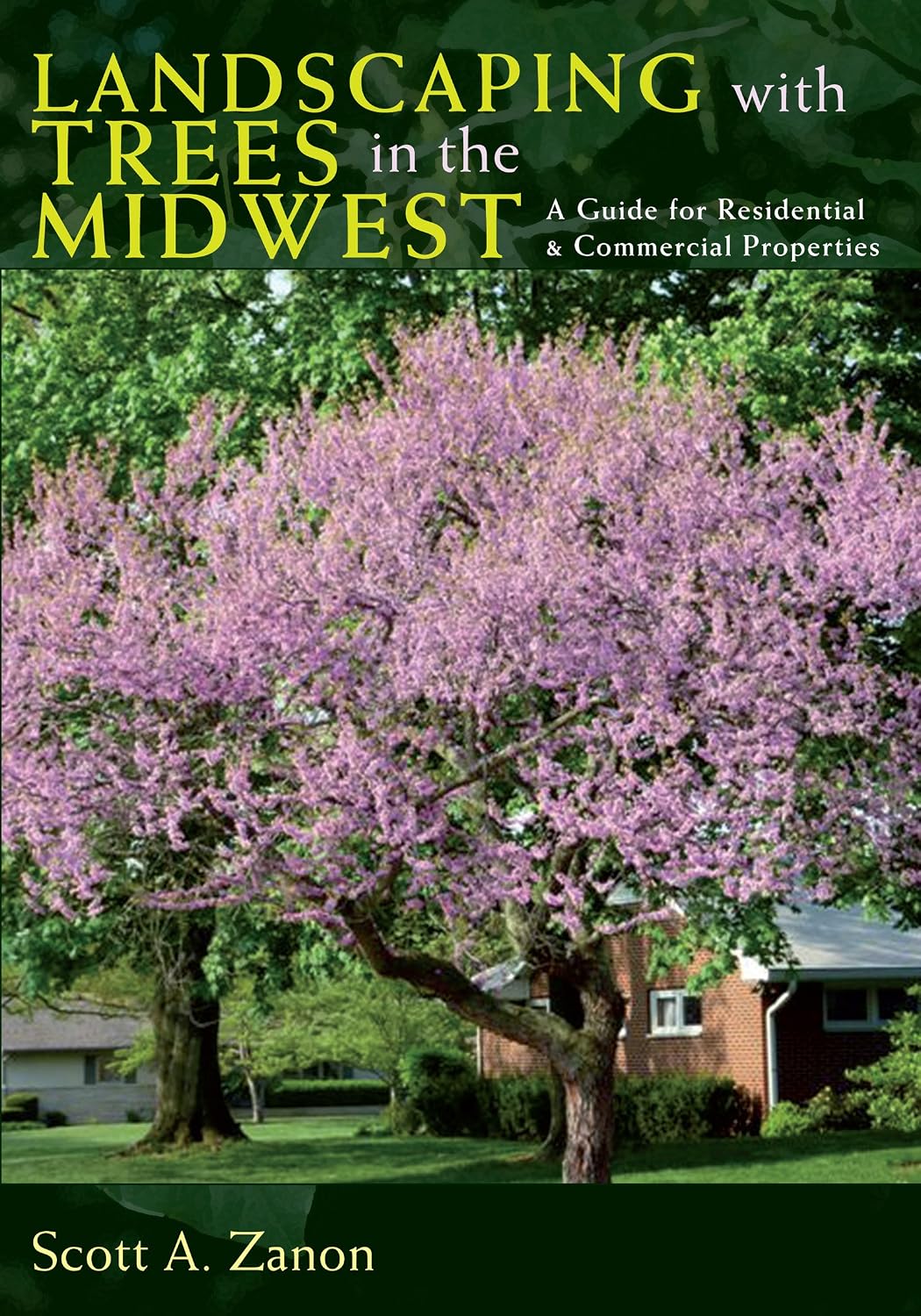 Landscaping with Trees in the Midwest: A Guide for Residential and Commercial Properties (English Edition) baixar livro de graça