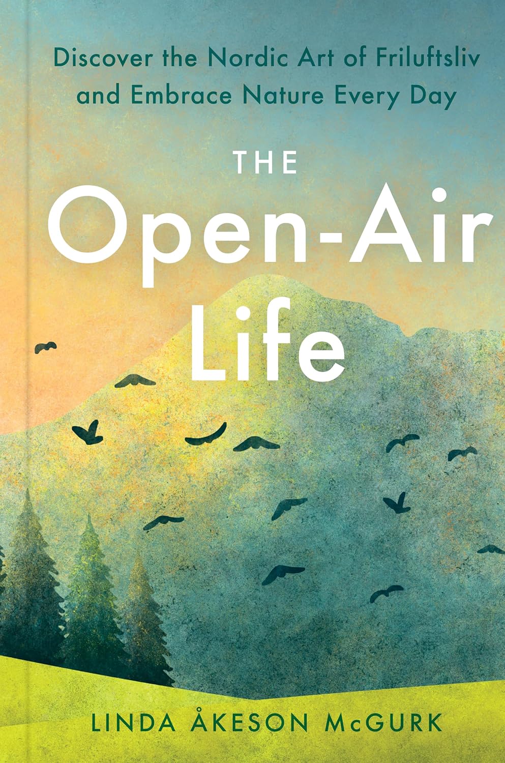 ler totalmente The Open-Air Life: Discover the Nordic Art of Friluftsliv and Embrace Nature Every Day