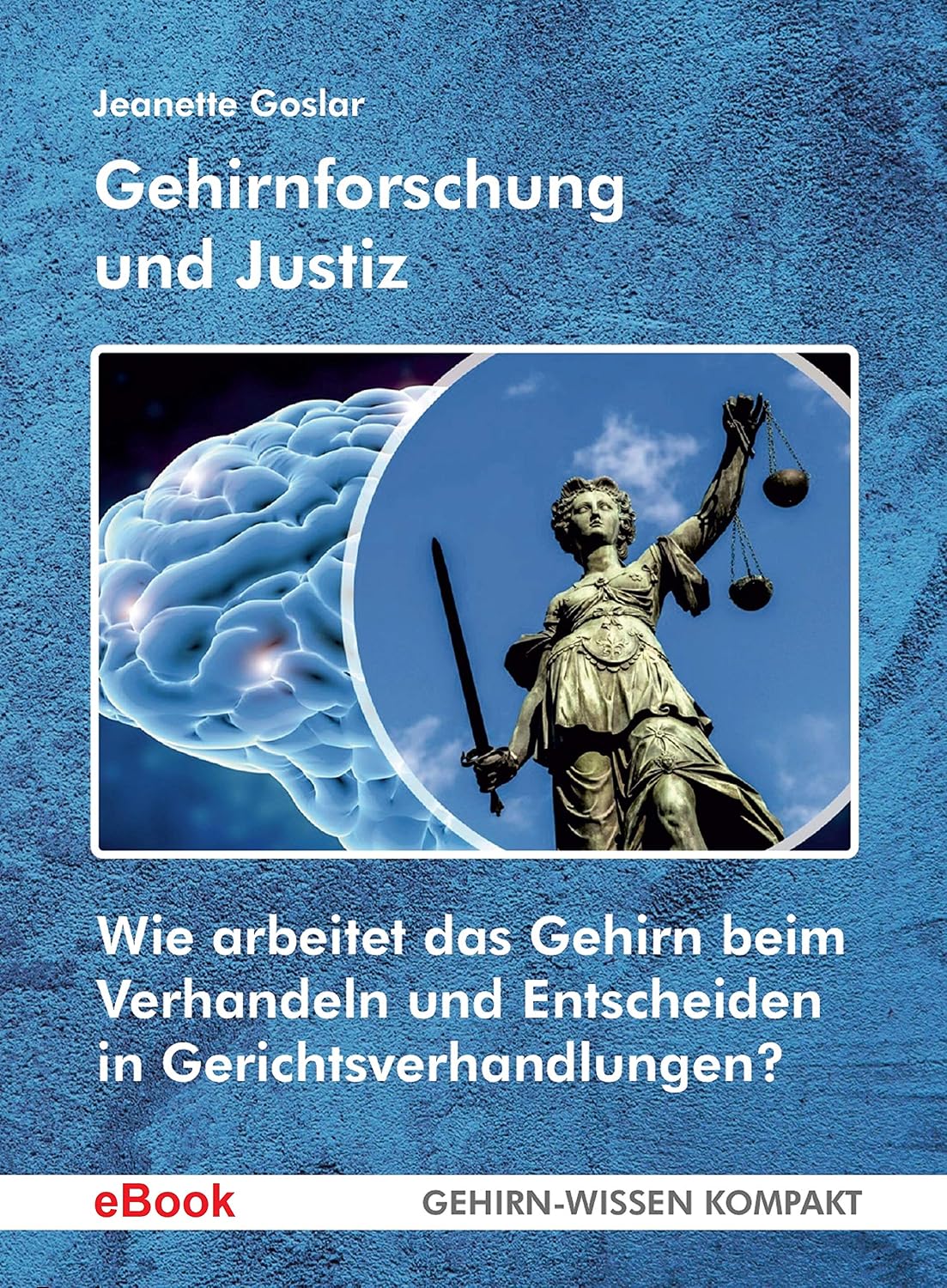 Gehirnforschung und Justiz: Wie arbeitet das Gehirn beim Verhandeln und Entscheiden in Gerichtsverhandlungen? (GEHIRN-WISSEN KOMPAKT / Aktuelle Erkenntnisse der Gehirnforschung) (German Edition) baixar o livro de graça