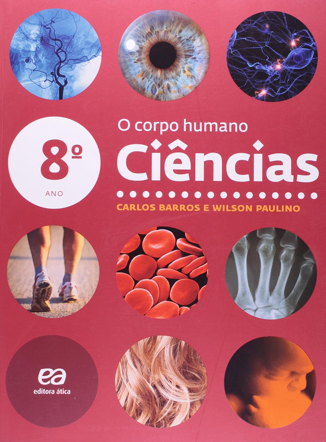 Ciências - O corpo humano - 8º ano: O corpo humano