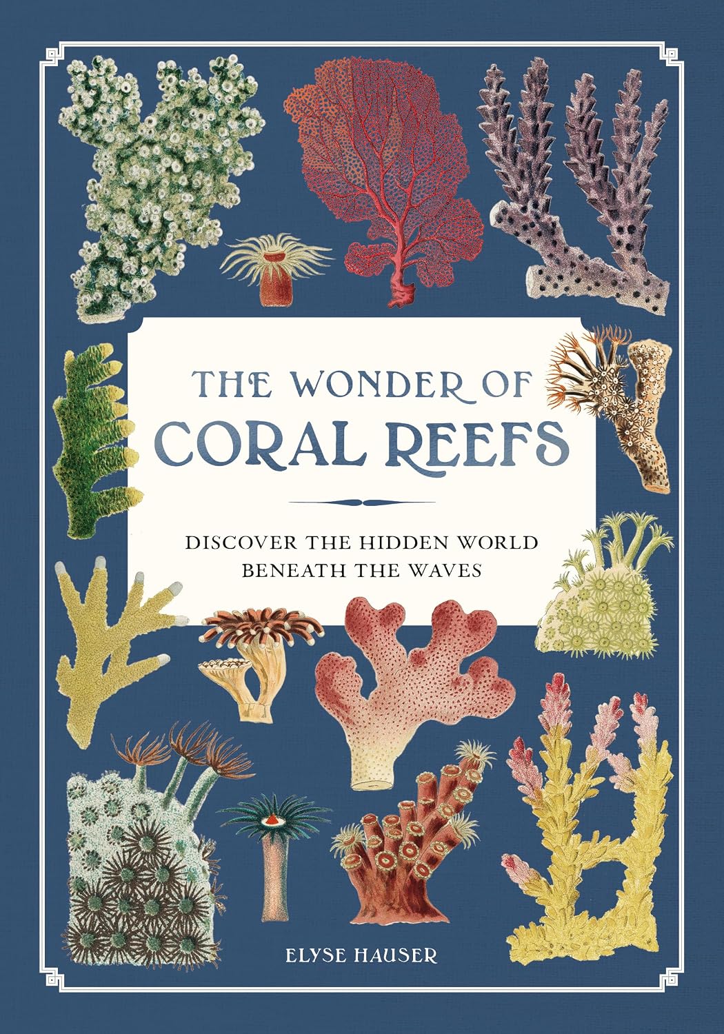 The Wonder of Coral Reefs: Discover the Hidden World Beneath the Waves (Ocean Wonders) (English Edition) baixar o livro de graça