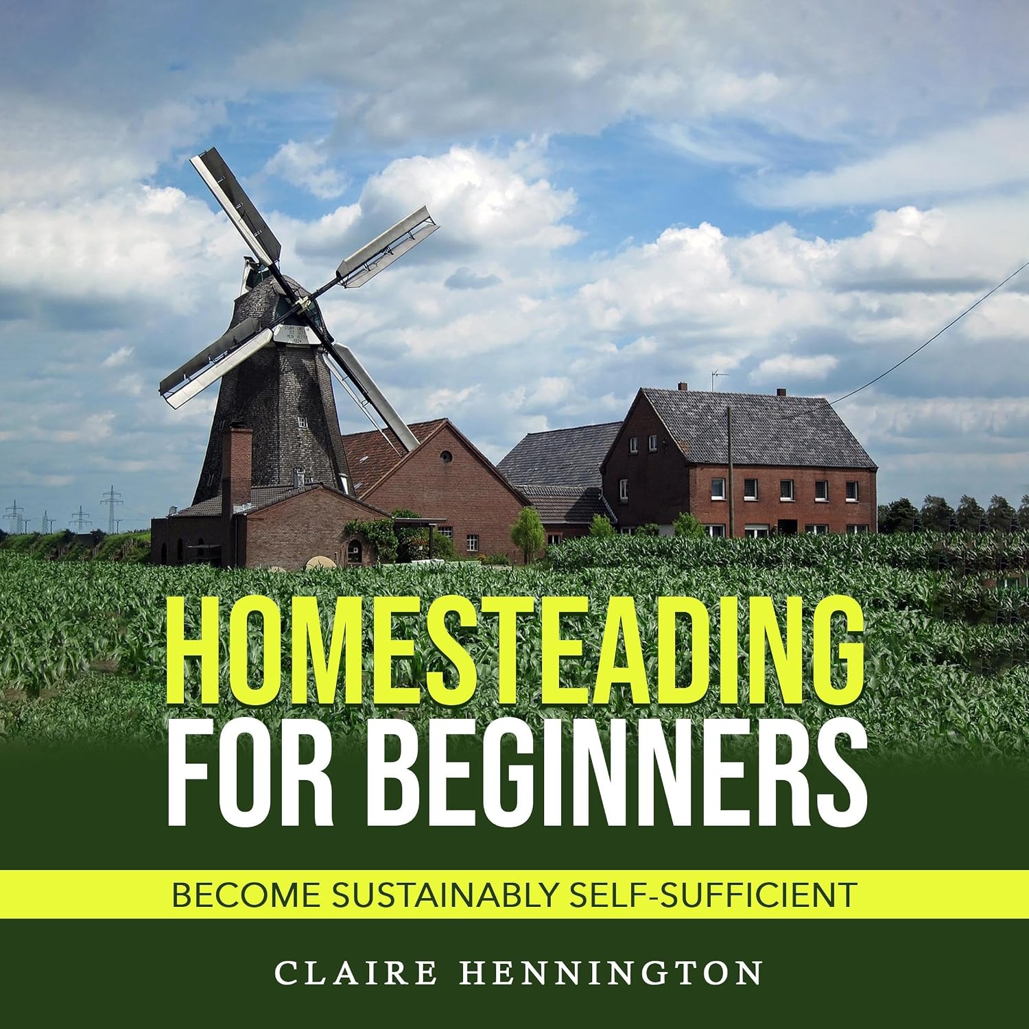 capítulo por capítulo baixar Homesteading for Beginners: Become Sustainably Self-Sufficient