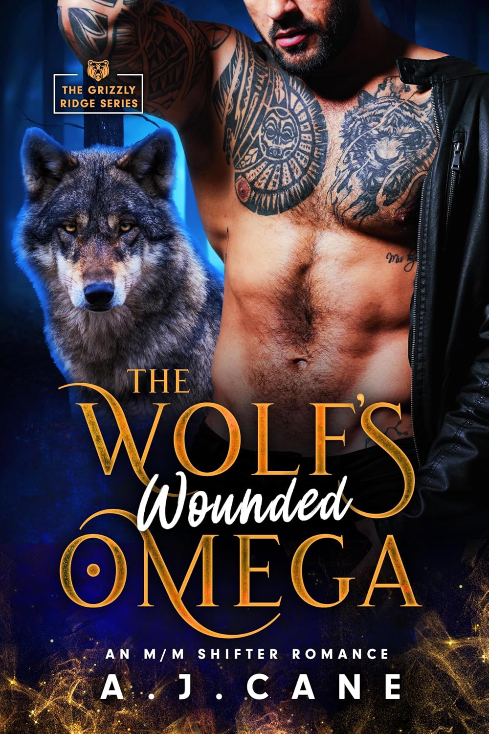 The Wolf's Wounded Omega: An MM Shifter Romance (Grizzly Ridge Book 2) (English Edition) baixar livro de graça