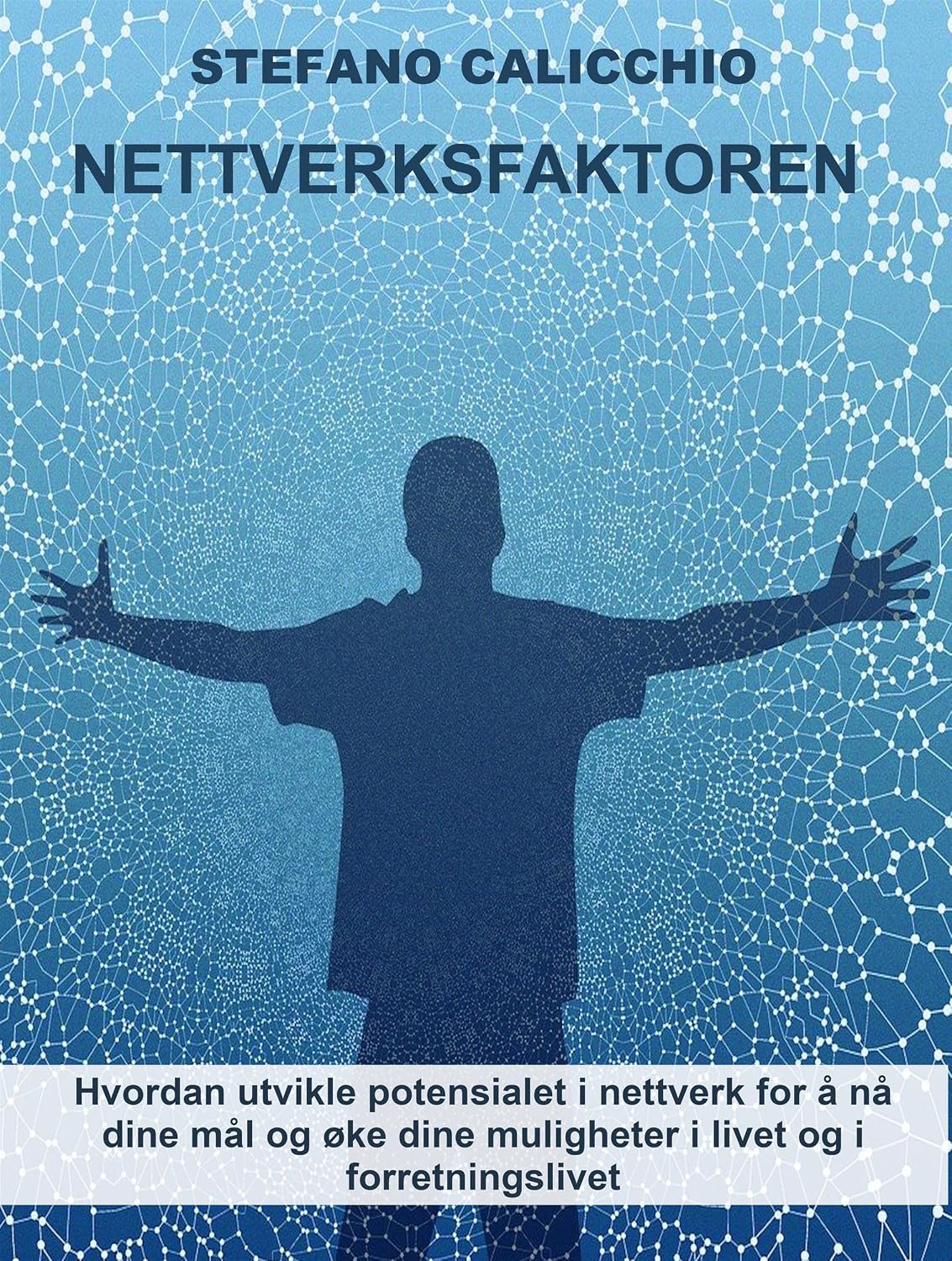 Nettverksfaktoren: Hvordan utvikle potensialet i nettverk for å nå dine mål og øke dine muligheter i livet og i forretningslivet (Norwegian Bokmal Edition) baixar o livro de graça