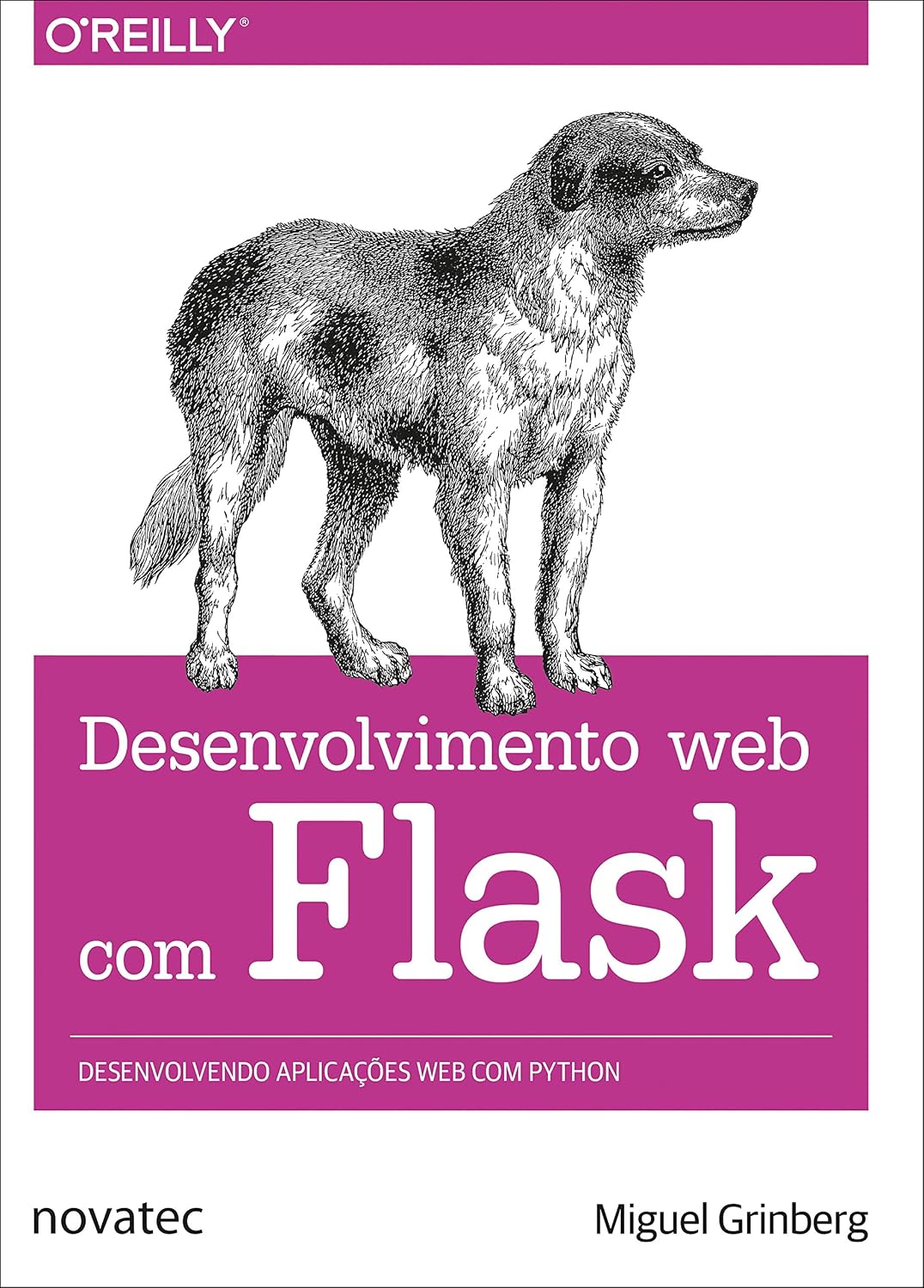 Desenvolvimento web com Flask: Desenvolvendo aplicações web com Python baixar o livro de graça