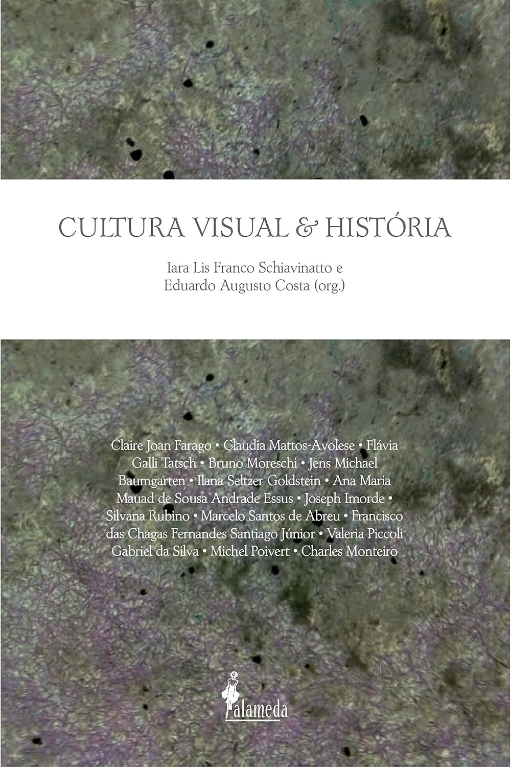 Cultura Visual e História baixar livro de graça