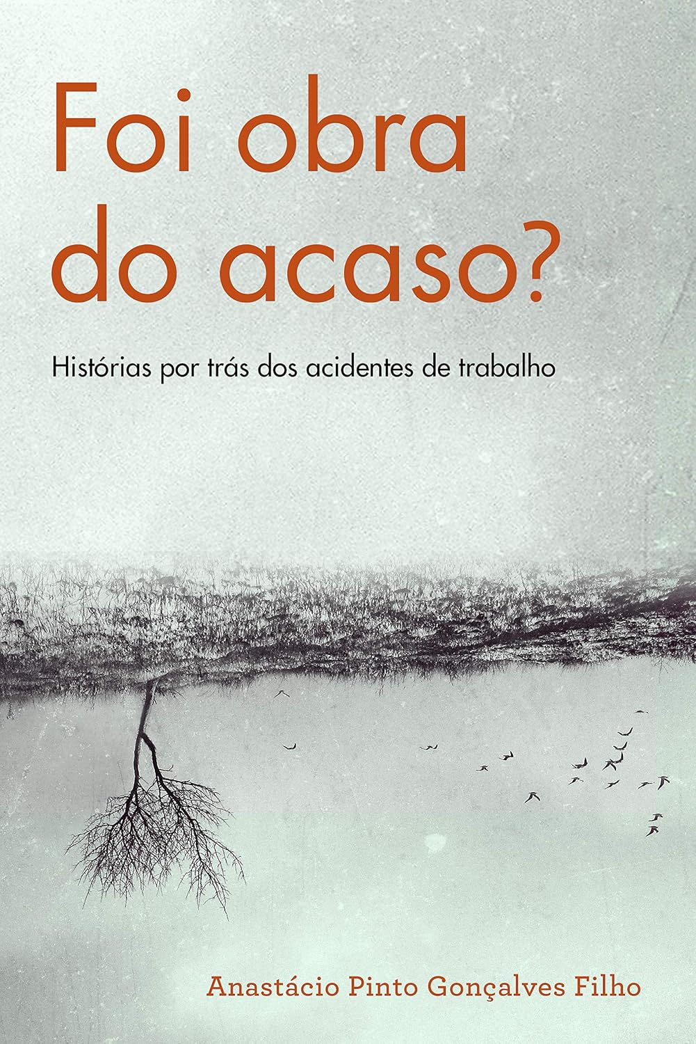 ler totalmente Foi obra do acaso?: Histórias por trás dos acidentes de trabalho
