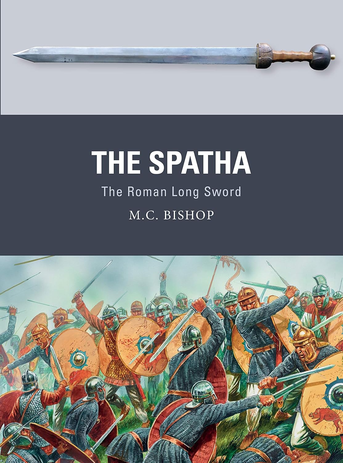The Spatha: The Roman Long Sword (Weapon Book 72) (English Edition) baixar livro de graça