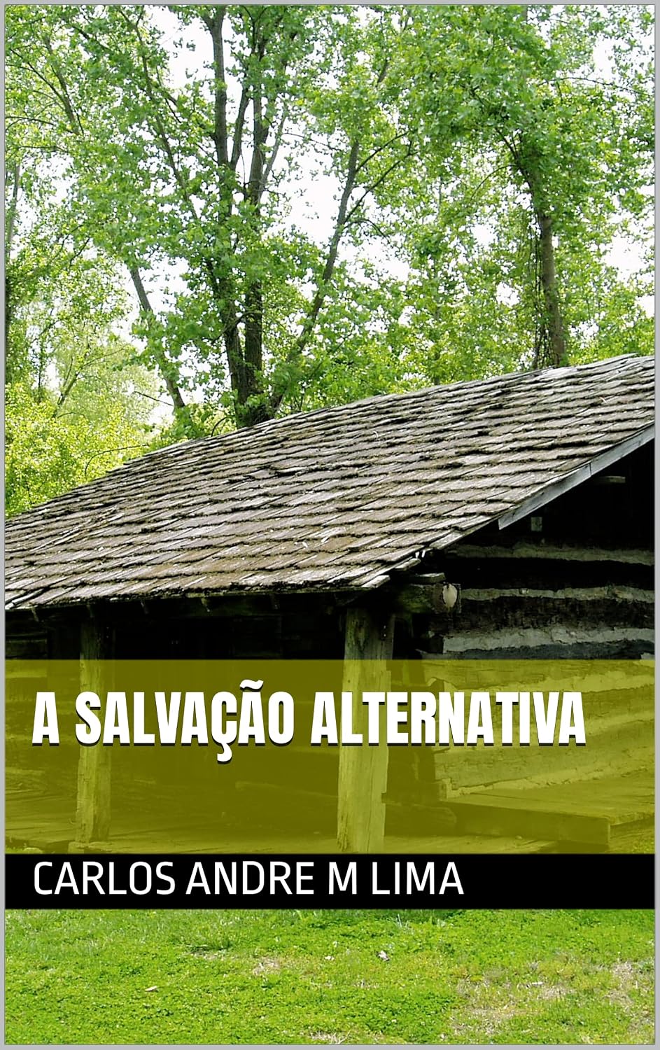 A Salvação Alternativa baixar o livro de graça