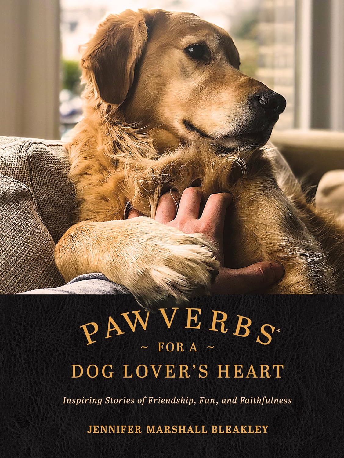 Pawverbs for a Dog Lover's Heart: Inspiring Stories of Friendship, Fun, and Faithfulness baixar livro de graça