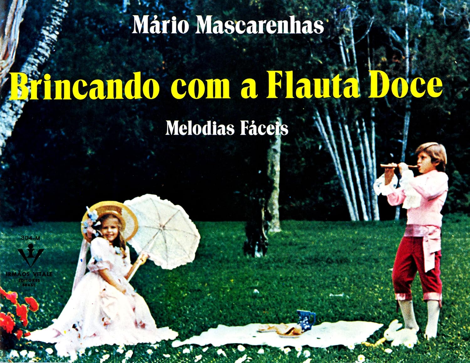 Brincando com Flauta doce: Melodias fáceis baixar o livro de graça