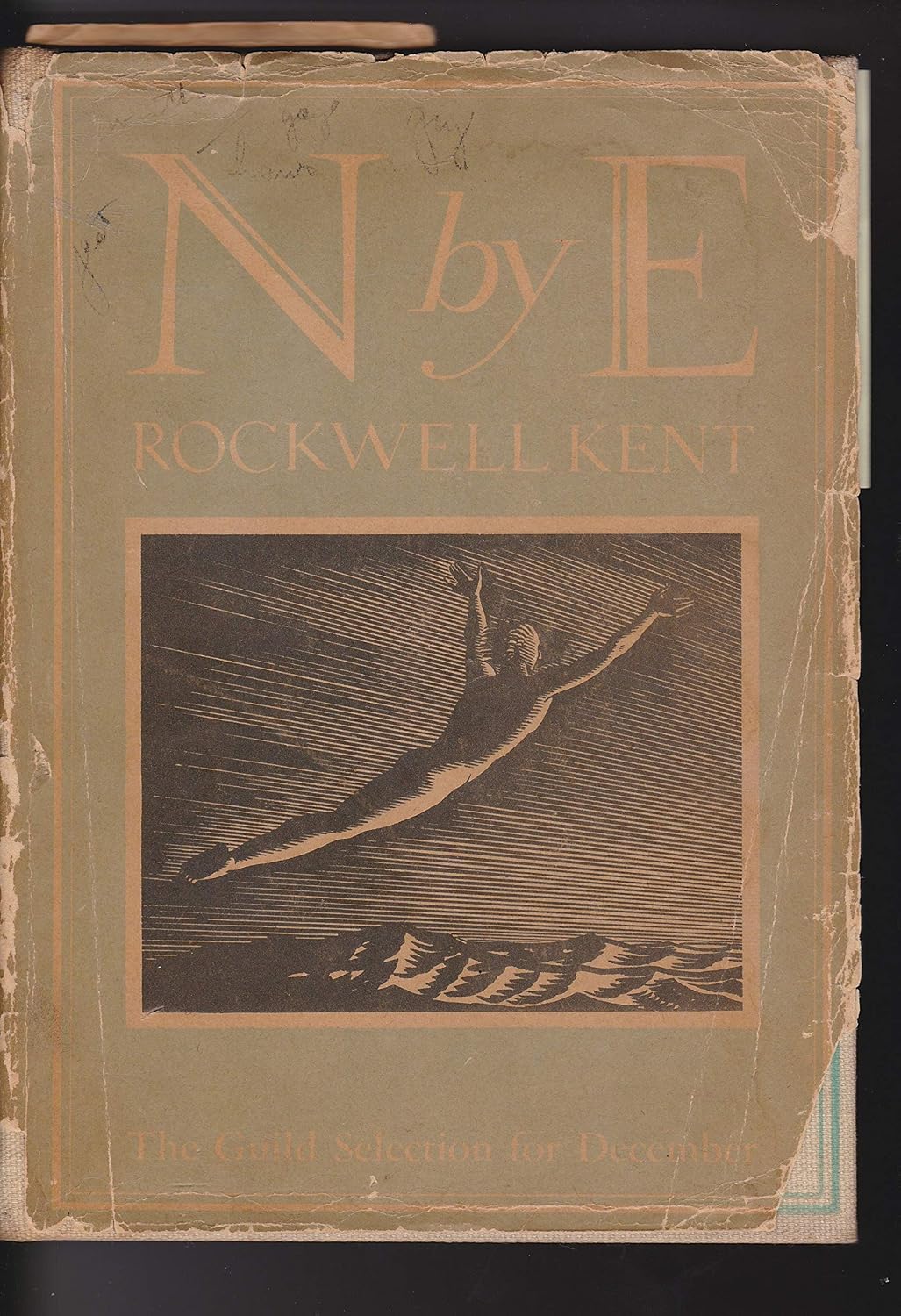 N by E baixar o livro de graça