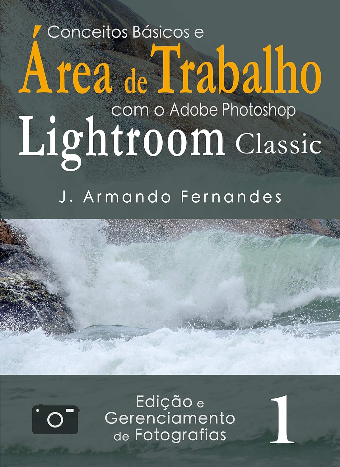 Conceitos Básicos e Área de Trabalho: com o aplicativo Adobe Photoshop Lightroom Classic (Edição e Gerenciamento de Fotografias Livro 1) baixar o livro de graça