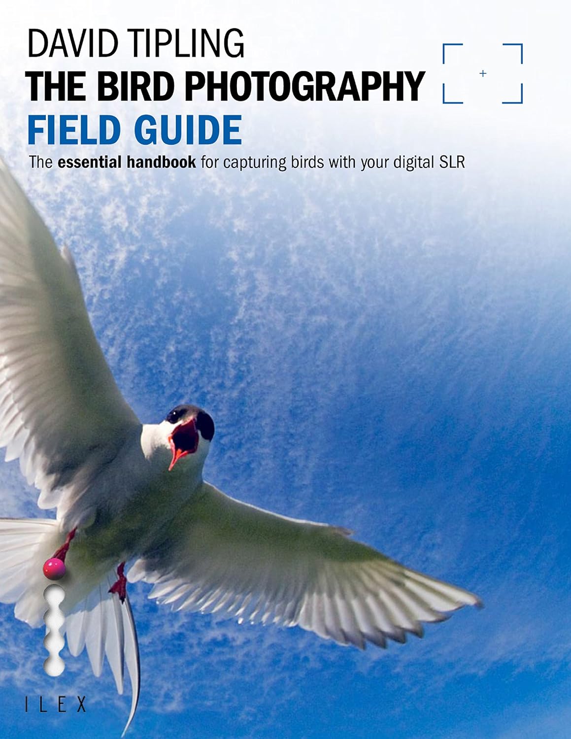 capítulo por capítulo baixar The Bird Photography Field Guide (Photographer's Field Guide) (English Edition)