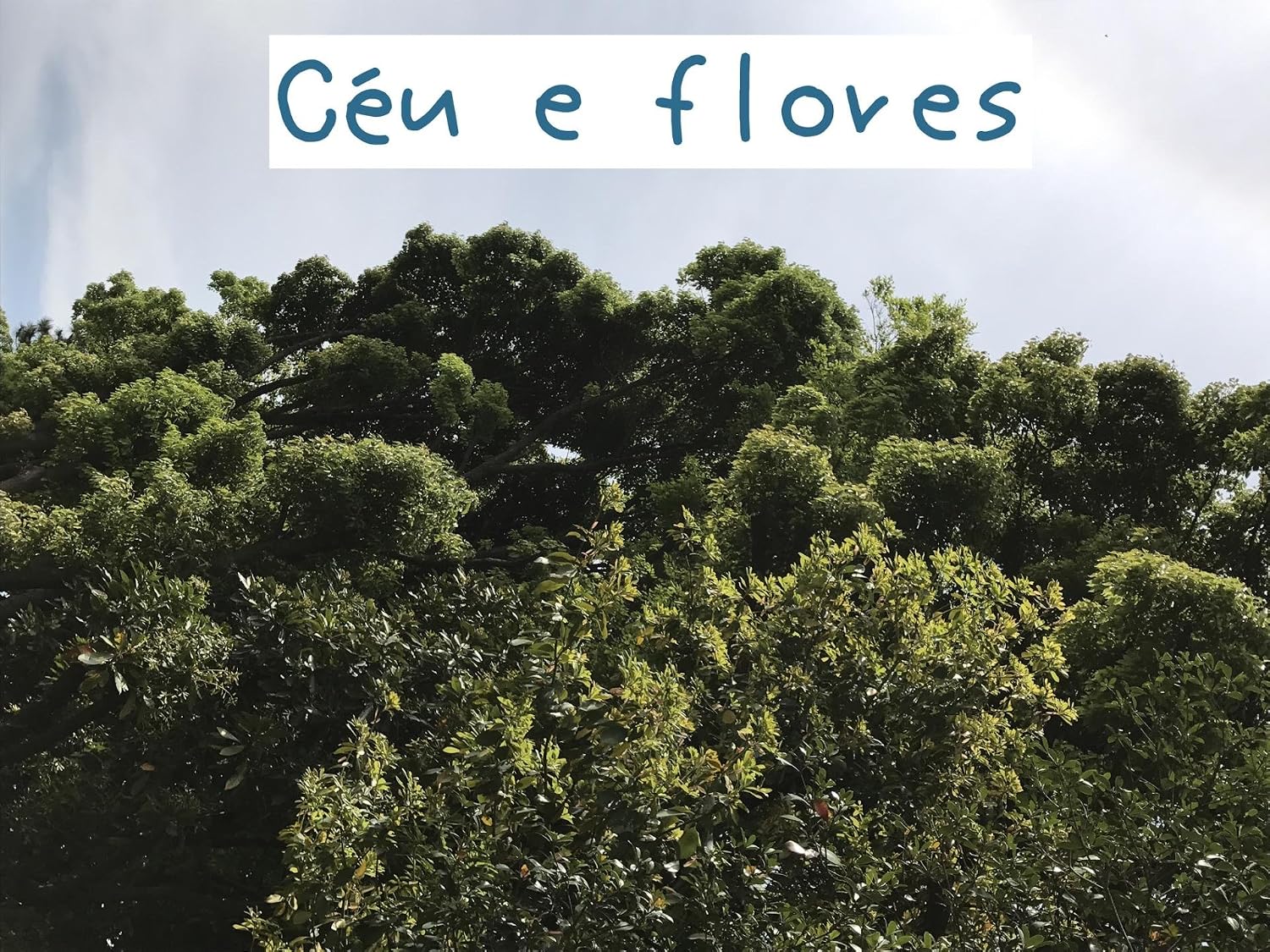 capítulo por capítulo baixar Céu e flores