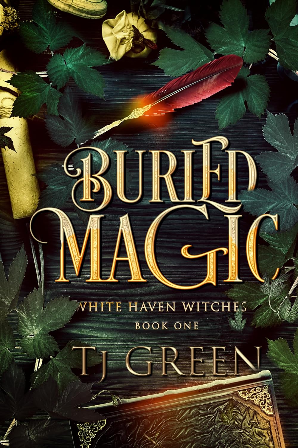Buried Magic: A Cornish Witch Mystery (White Haven Witches Book 1) (English Edition) baixar livro de graça