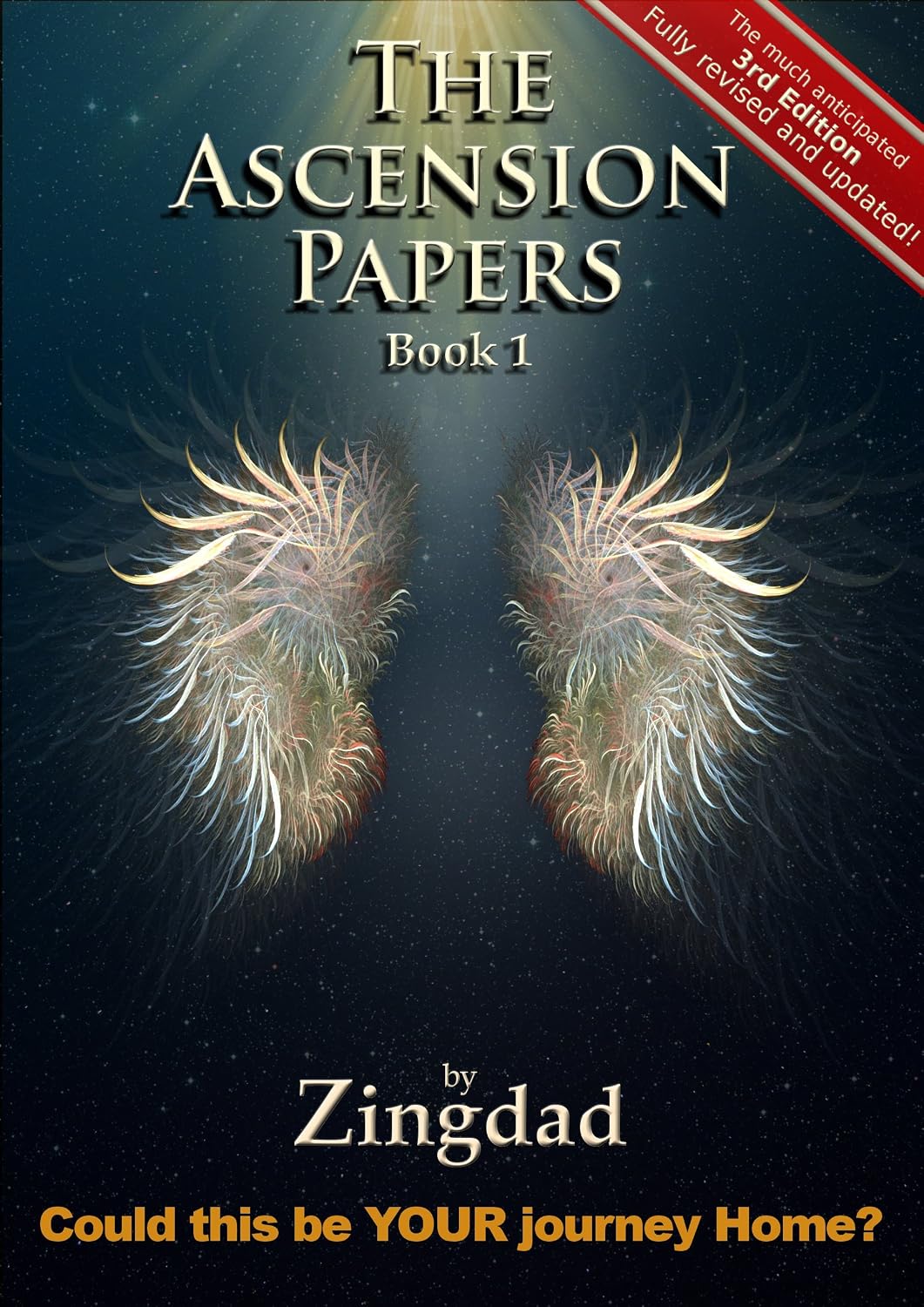 The Ascension Papers, Book 1: Could this be YOUR journey Home? (English Edition) baixar livro de graça