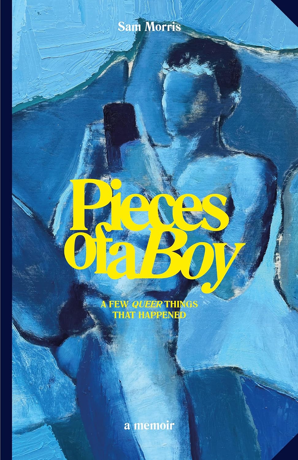 ler totalmente Pieces Of A Boy: A Few Queer Things That Happened (English Edition)